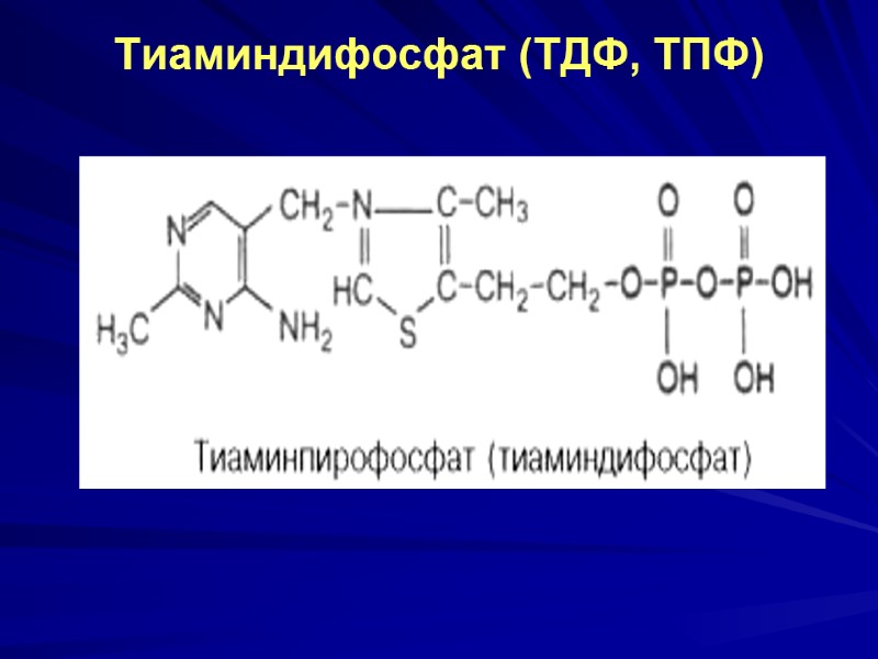 Тиаминдифосфат (ТДФ, ТПФ) Тиаминдифосфат (ТДФ, ТПФ)